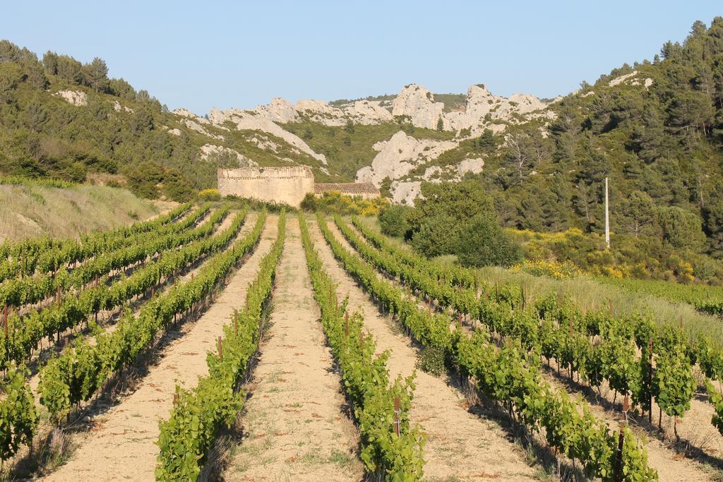 Вилла La Montagute Thezan-des-Corbieres Экстерьер фото