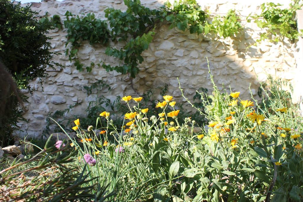 Вилла La Montagute Thezan-des-Corbieres Экстерьер фото
