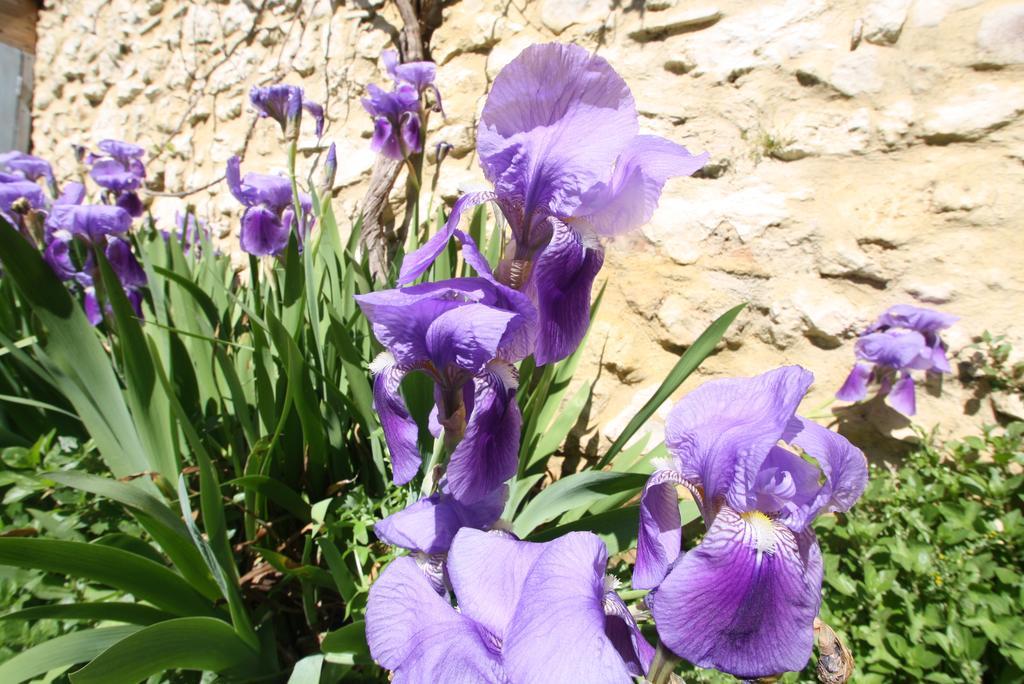Вилла La Montagute Thezan-des-Corbieres Экстерьер фото